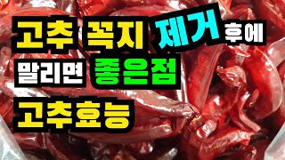 고추 꼭지 제거하고 말리면 좋은점, 고추 효능