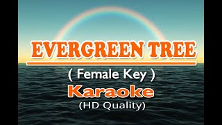 EVERGREEN TREE - Female Key ( KARAOKE Version )