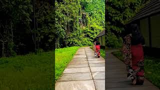 @Cherakkakkavu Temple #viral #nature #thalassery #kannur #naturelovers #youtubeshorts #youtube