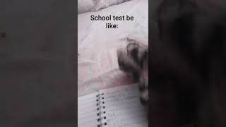 school test be like: