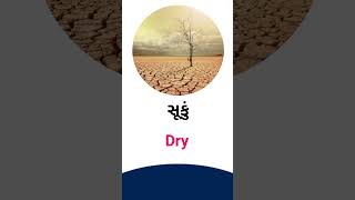 Dry meaning in Gujarati - English Dictionary