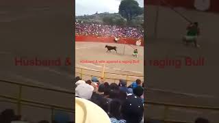 LAKI BINI DAN CABARAN LEMBU GARANG