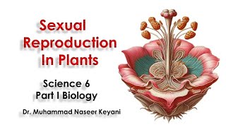 'Sexual Reproduction In Plants' with interesting images, diagrams, animations and Urdu Explanation.