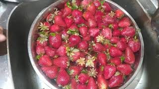 اسهل طريقه لتخزين الفراوله🍓 من السنه للسنه وبنفس لونها🍷