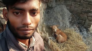 लॉन्ग वीडियो कॉमेडी वायरल हेल्प मी यूट्यूब में#viralvideo #वायरल #viralvideo