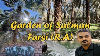 Madinah Salman Farsi (R.A) Garden | Prophet Muhammad PBUH Planted 300 Trees In the Garden Madinah