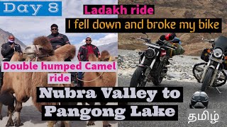 Camel Ride | Nubra Valley to Pangong Lake | Day 8 | Tamil Motovlog | Wecritic |