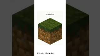 Tente Acertar O Bloco Do Minecraft