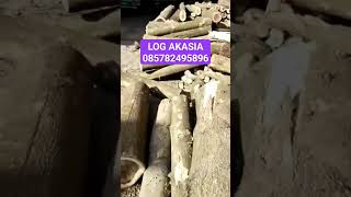 LOG KAYU AKASIA