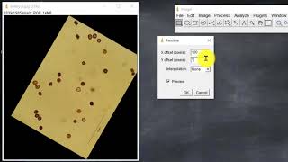 005 Rotar, trasladar,  reducir y guardar una imagen (Curso ImageJ-Fiji)