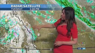 Danielle Savoni - CTV News Calgary - Weather - Tuesday, June 4, 2024.