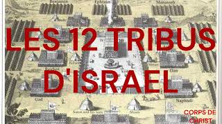 LES 12 TRIBUS D'ISREAL PAR RéV PASTEUR LIONEL JOSEPH 🙏🏾 SIGNIFICATION DES FILS DE JACOB (SUITE) ✅