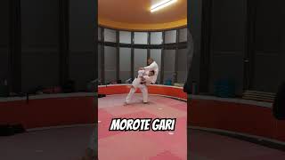 Morote gari no Karaté Jutsu #karate #morotegari #nagewaza