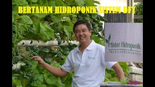 Bertanam Sayuran Hidroponik Sistem DFT oleh Mister Hidroponik, Pak Harto