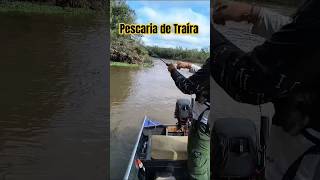 Pescaria de Traíra! #pesca #pescaria #fishingvideo