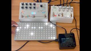 Monome norns //Less Concept // Echosystem Empress // Microcosm Hologram Electronics