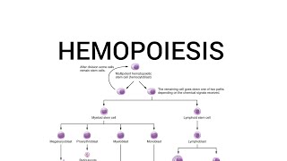 HEMOPOIESIS