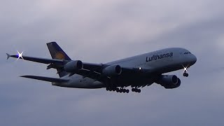 ✈Lufthansa Airbus A380-800 ✈beautiful evening landing at Frankfurt Airport