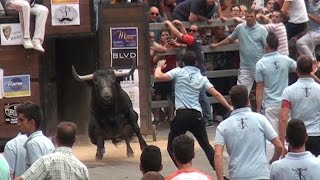 Toro Feria 2015 por YoTaurino.net