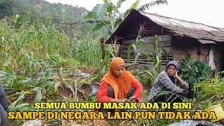 Bikin Cemburu Aja nih.. Perkebunan Di Desa Penuh Dengan Rempah rempah Kebutuhan Setiap Hari