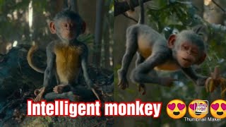 Dora and intelligent  monkey best comedy action scene