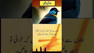 Best Islamic Quotes in Urdu |Islamic Quotes in Urdu | Islamic Status l Islamic Poetry #Shorts