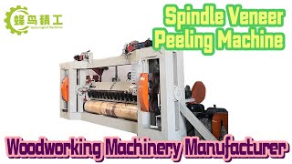 China Good Supplier High-Ranking Spindle veneer Peeling Machine Hummingbird machinery