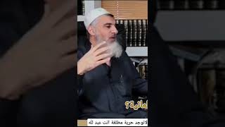 الشيخ علي الرملي