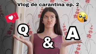 Q&A | Vlog de Carantină