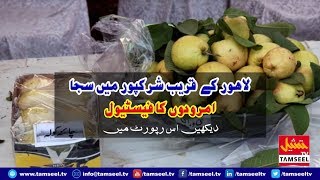 Guava Festival in Sharaqpur near Lahore watch full report