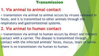 1st lesson p6   Bird flu Avian Influenza video