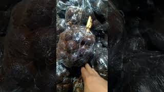 Salak Pondoh Banjarnegara siap otw lintas pulau #shorts