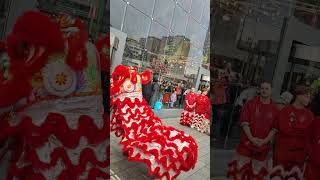 Chinese New Year 2024 celebrations in Rotterdam Holland