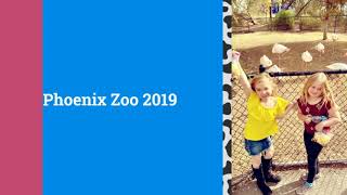 Phoenix Zoo 2019