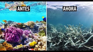 15 Curiosidades de nuestro planeta que te dejaran boquiabierto