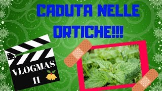 🎄 VLOGMAS #11 - SONO FINITA NELLE ORTICHE! 🎄