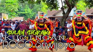 Kiprah solah kucingan JARANAN ROGO SRIWIJOYO live in jegles kepung kediri