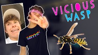 I WAS ATTACKED VIA WASP |Ryan Allen|