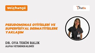 Pseudomonas Otitisleri ve Superfisiyal Dermatitislere Yaklaşım ''Dr. Oya Tekin Balık''