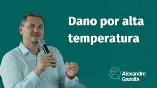 Alexandre Gazolla | Boas Práticas de Plantio | Dano por alta temperatura