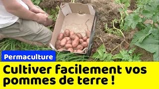 Comment cultiver les pommes de terre sans efforts et sans outils ?