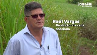 Proyecto AgriInversiones Raúl Vargas productor cañero