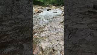 Forest River flowing in Early Morning 4k. Relaxing River Sounds, White Noise for Sleep, Meditation.