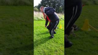 First Puppy Finnish Lapphund Freya's fun flyball training. 4 Month old Suomenlapinkoira