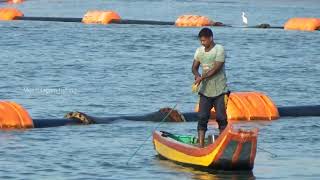 cast net fishing