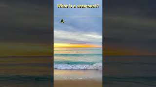 29   What is a seamount