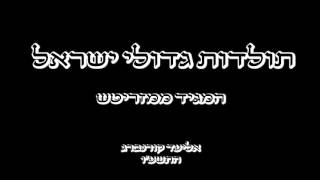 המגיד ממזריטש