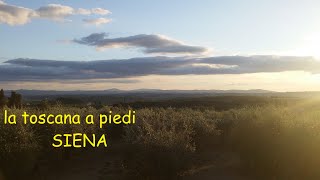 la toscana a piedi - SIENA