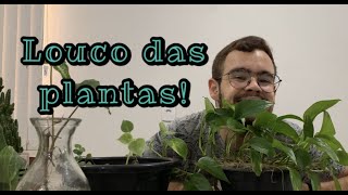 PLANTAS FÁCEIS DE CUIDAR | Plante você mesmo!