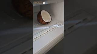 Tip - How to Store coconut in fridge for many days#coconut Storage in Tamil#coconut tip #shorts